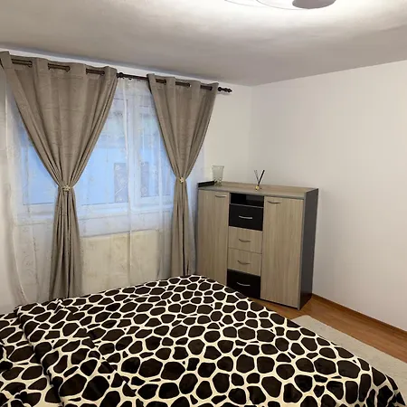 Sofianne Apartment Appartamento Timisoara